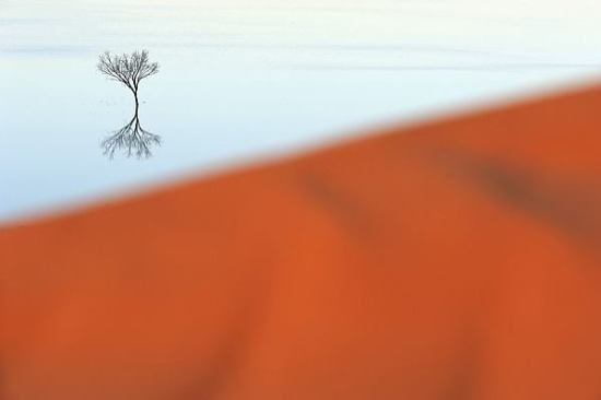 14897_501087296691651_6777240322441805375_n